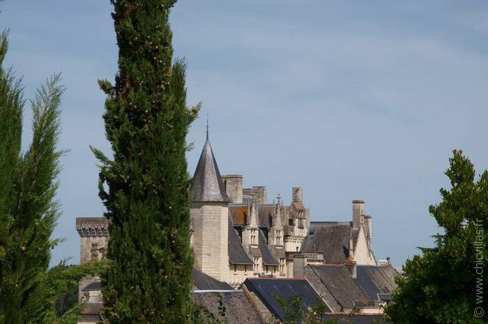 De Val en Vins - Luxury villa rental - Loire Valley - ChicVillas - 18